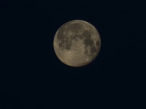 20241216_085439.jpg