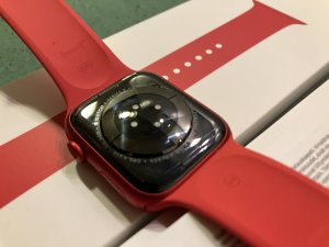 IMG_0372.jpeg