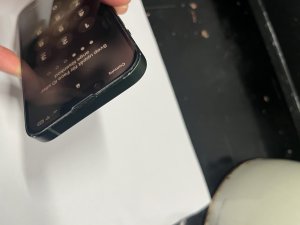 IMG_1132.jpeg