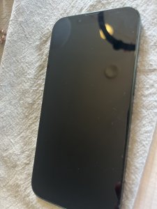 IMG_1137.jpeg