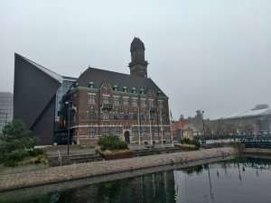 IMG_20241225_150610.jpg