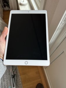 IMG_3458.jpeg