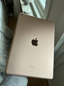IMG_3459.jpeg