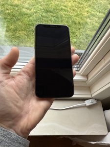 IMG_3460.jpeg