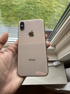 IMG_3461.jpeg