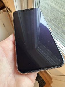 IMG_3463.jpeg
