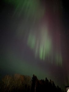 PXL_20250101_164618150.NIGHT.jpg