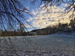 IMG_20250102_115558.jpg