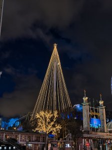 IMG_20250104_165628.jpg