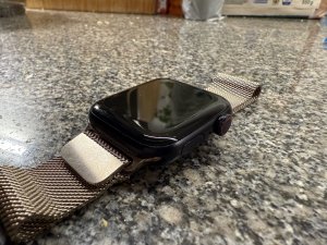 IMG_2725.jpeg