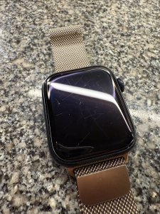 IMG_2726.jpeg