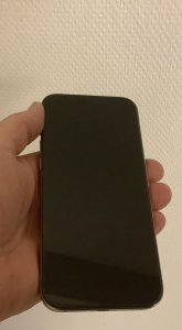 IMG_0029.jpeg