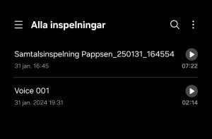 Screenshot_20250201_201839_Voice Recorder.jpg