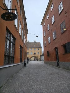 20250202_135825 liten.jpg
