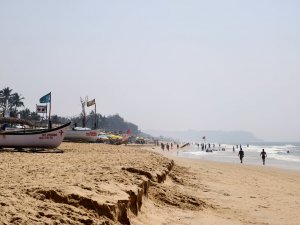IMG_20250203_124145.jpg