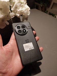 IMG_20250204_214208.jpg