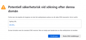 20250206A Potentiell säkerhetsrisk vid sökning efter denna domän.png