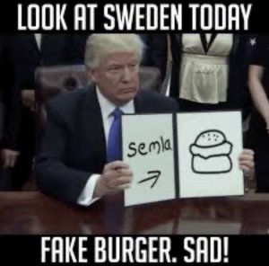 Fake burger.jpg