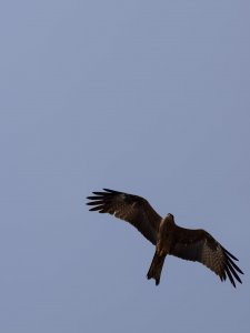 IMG_20250210_103227.jpg