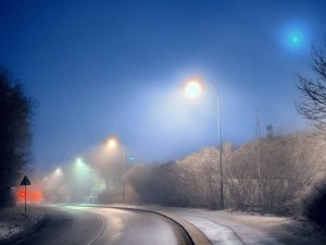 PXL_20250211_042447215~2.jpg