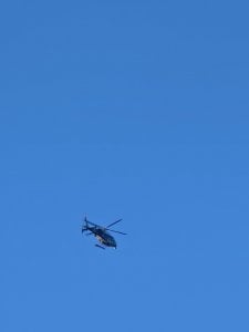 IMG_20250206_135003.jpg