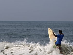 IMG_20250213_100631.jpg