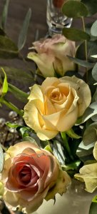 IMG_20250216_130821.jpg
