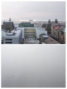 20250219_082305-COLLAGE.jpg