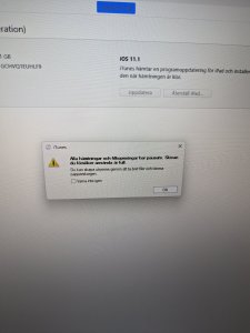 PXL_20250228_163908733.jpg