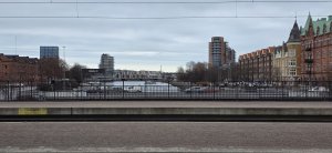 20250304_131746.jpg