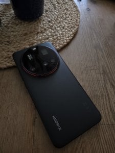 20250306_131733.jpg