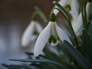 IMG_20250307_170230.jpg