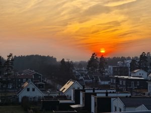 IMG_20250308_173025.jpg