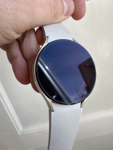 IMG_0009.jpeg