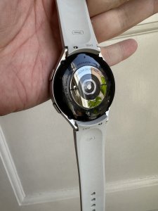 IMG_0011.jpeg