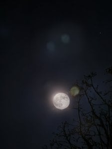 IMG_20250314_221134.jpg