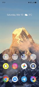 Screenshot_2025-03-15-17-17-24-106_com.miui.home.jpg