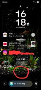 Screenshot_20250319_161848_One UI Home.jpg