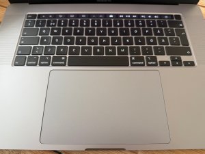 IMG_1142.jpeg