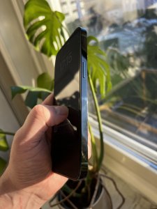 IMG_0008.jpeg