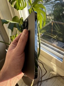 IMG_0010.jpeg