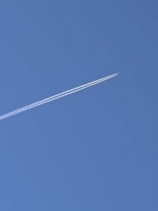 IMG_20250322_121153.jpg