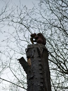 IMG_20250323_175817.jpg