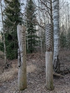PXL_20250323_165929958.jpg