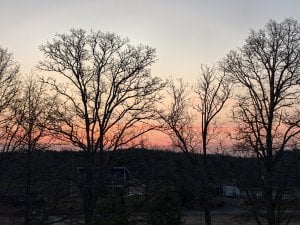 IMG_20250324_055336.jpg