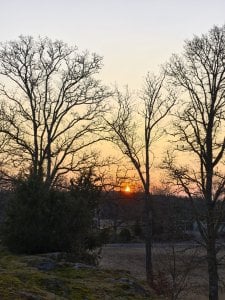 IMG_20250324_062828.jpg