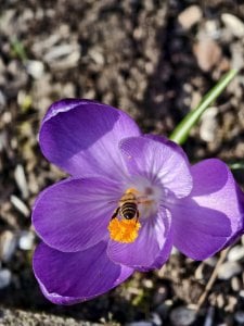 IMG_20250324_115626.jpg