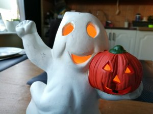 IMG_20161030_083927.jpg