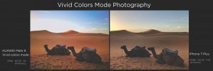 huawei_mate_9_vivid_photography.jpg