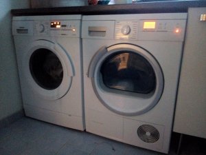 IMG_20161106_153947.jpg